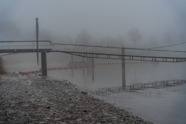 250102 Schiedam in de mist Getijdengied Bas Braad Photography3